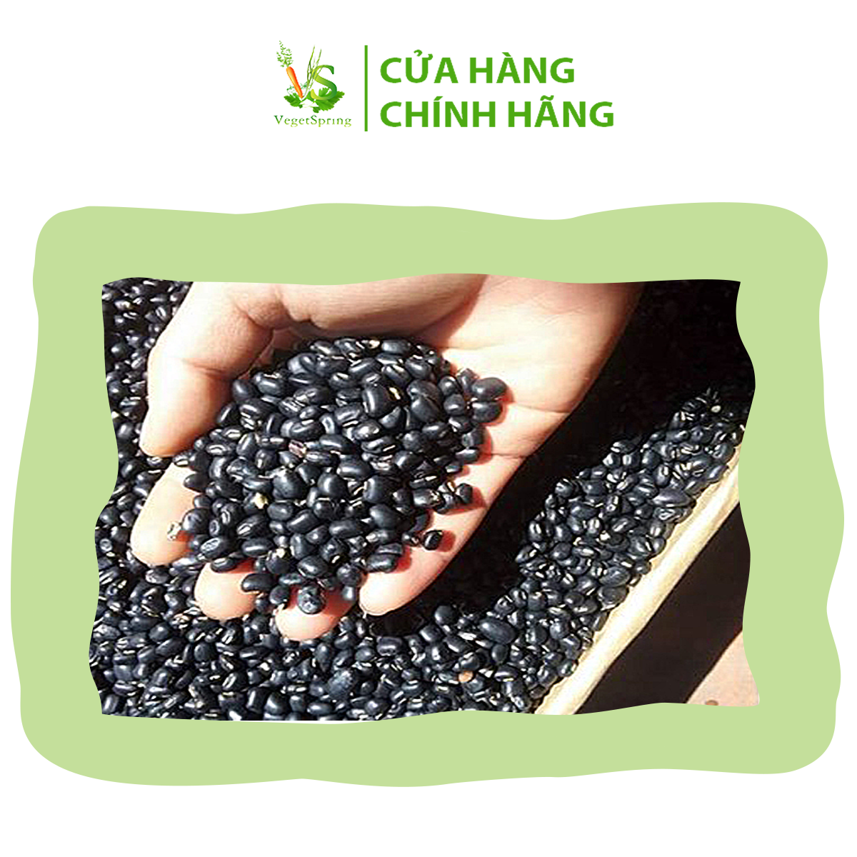 Đậu Đen Đà Lạt/Đậu Đen Xanh Lòng 1kg