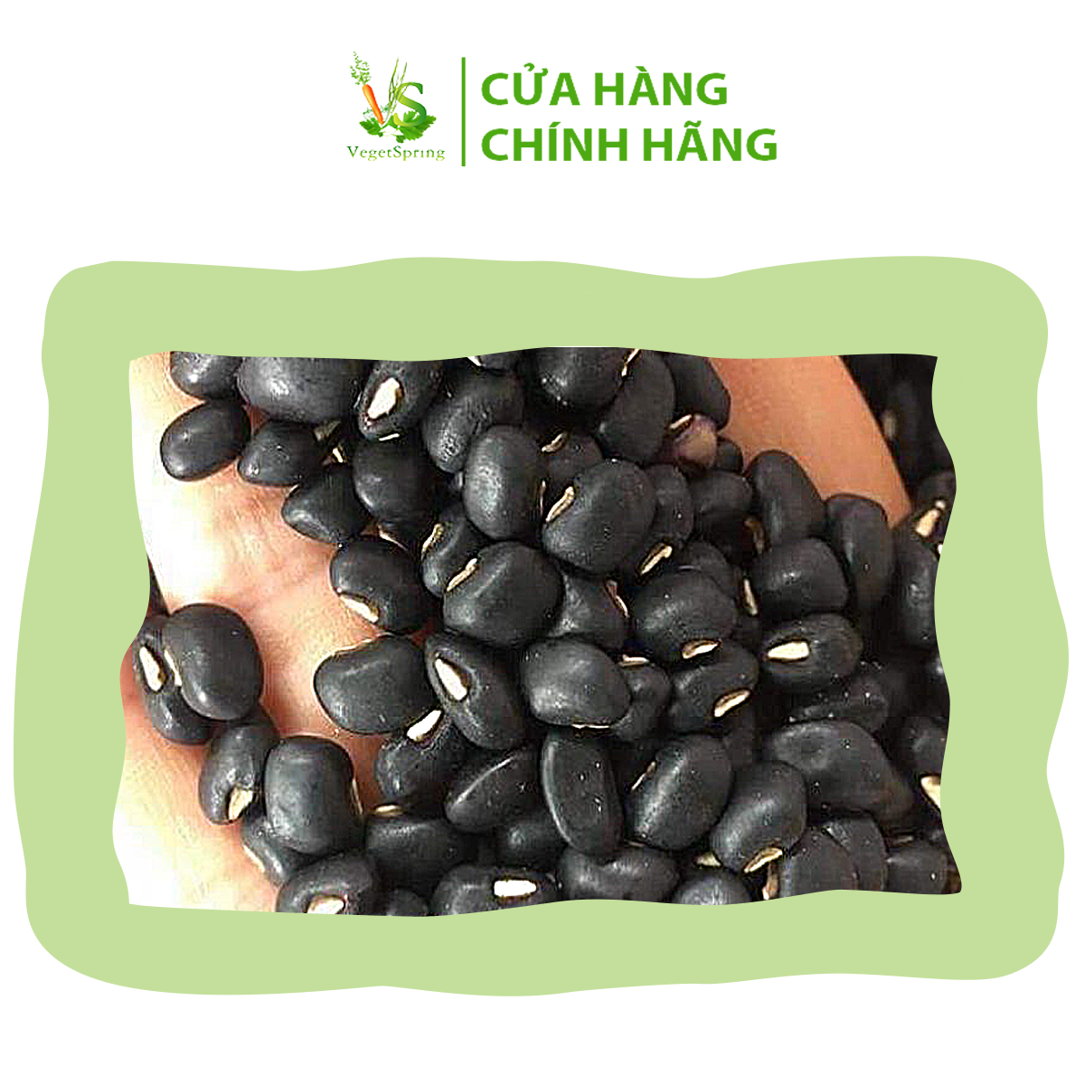 Đậu Đen Đà Lạt/Đậu Đen Xanh Lòng 1kg