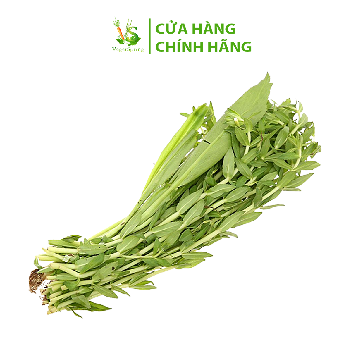 ng-om-vegespring-vn